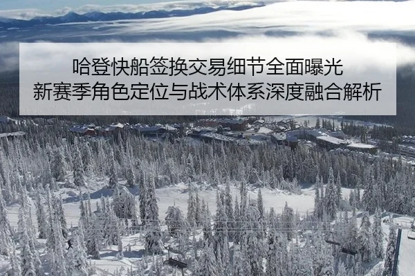 ha-deng-kuai-chuan-qian-huan-jiao-yi-xi-jie-quan-mian-bao-guang-xin-sai-ji-jue-se-ding-wei-yu-zhan-shu-ti-xi-shen-du-3-440.jpg