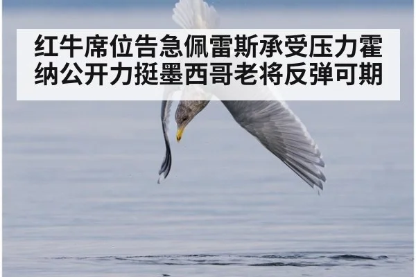 红牛席位告急佩雷斯承受压力霍纳公开力挺墨西哥老将反弹可期